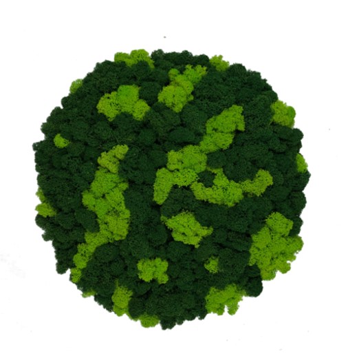 Mix Reindeer Moss Island Diameter 32 cm - Spring Green & Dark Green